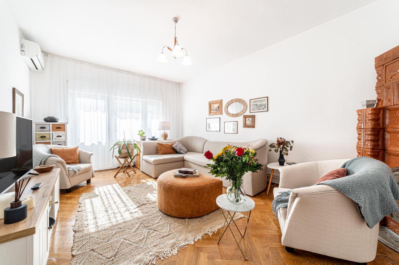 Nala Central Apartment Arad Buitenkant foto